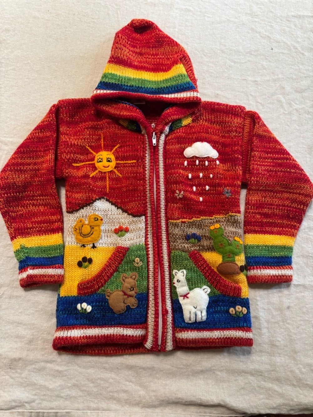 Handmade Peruvian Colorful Rainbow Zip Hoodie | Alpaca Llama Sweater Sz 4